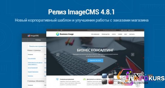 скачать бесплатно [imagecms] imageCMS shop 4.8.1 (nulled + модули) - без стучалок