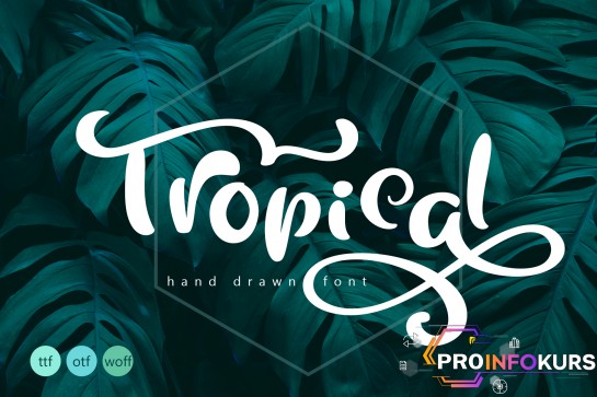 скачать бесплатно [Creativefabrica] Tropical Freezer Font (2022)
