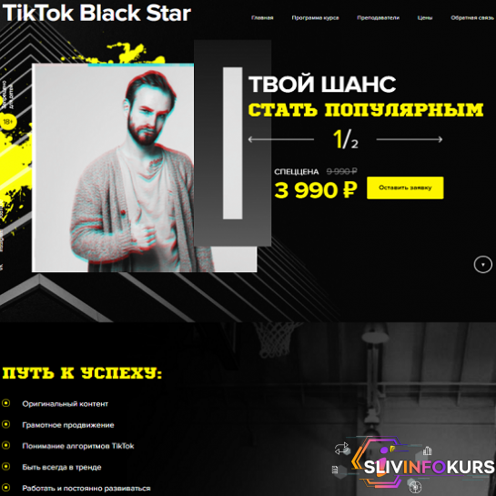 скачать бесплатно [Александр Соколовский, Диана Салей] TikTok Black Star. Твой шанс стать Популярным (2020)