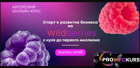 скачать бесплатно [Александр Меркулов] Старт и развитие бизнеса на Wildberries с нуля до первого миллиона (2021)