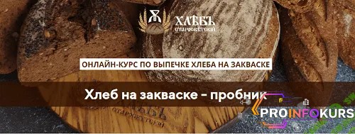 скачать бесплатно [Светлана Аристова] Хлеб на закваске (2021)