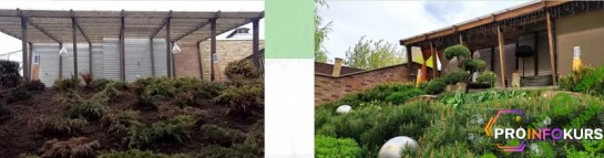 скачать бесплатно [Умный садовник] Реконструкция сада.Как превратить старый сад в стильное и уютное пространство (2024)