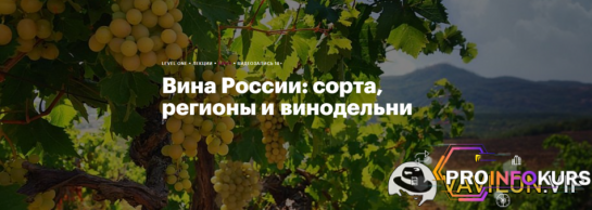 скачать бесплатно [Level One] Вина России - сорта, регионы и винодельни (2024)