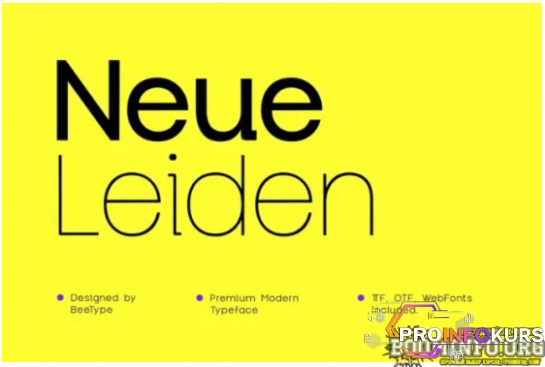 скачать бесплатно [Elements.Envato] Neue Leiden Typeface (2022)