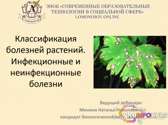 скачать бесплатно [Наталья Минина] Болезни декоративных растений (2021)