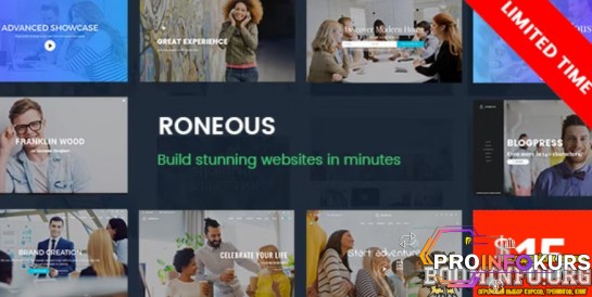 скачать бесплатно Roneous - Creative Multi-Purpose WordPress Theme