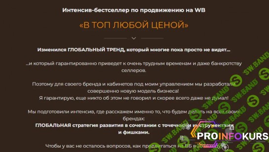 скачать бесплатно [Никита Газпром] Интенсив-бестселлер по продвижению на WB (2023)